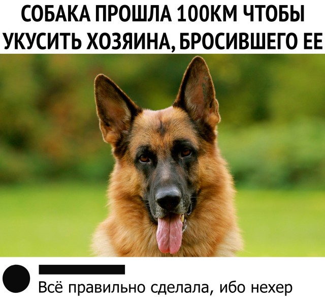 Так себе картинки 19.11.22