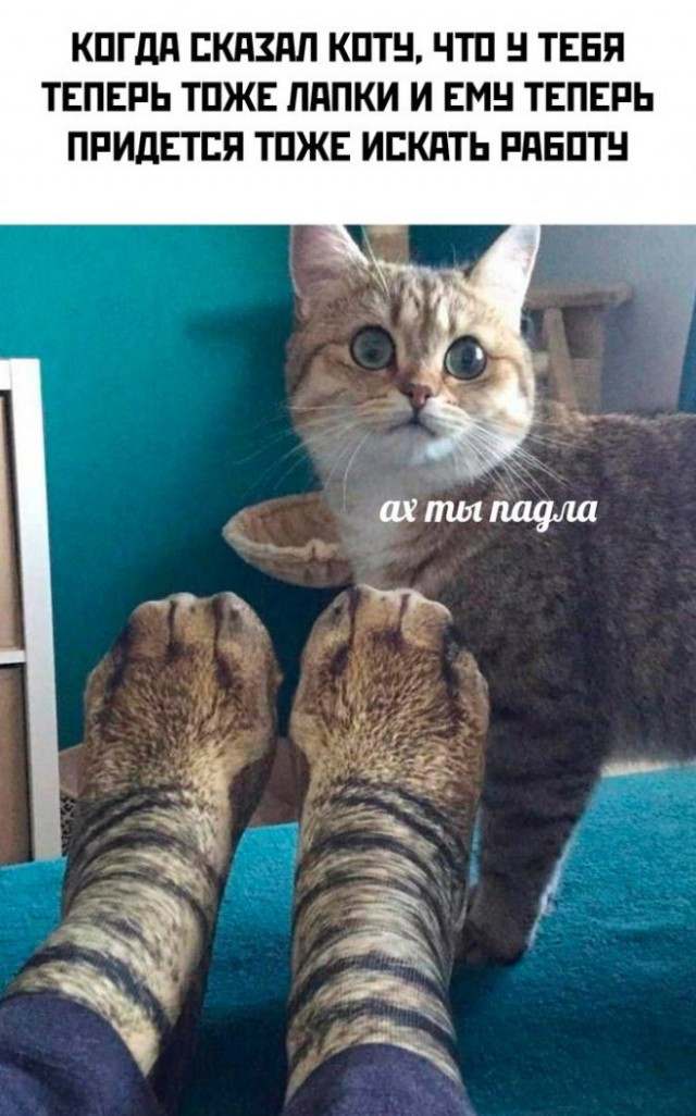 Картинки и мемы. Выходные близко...