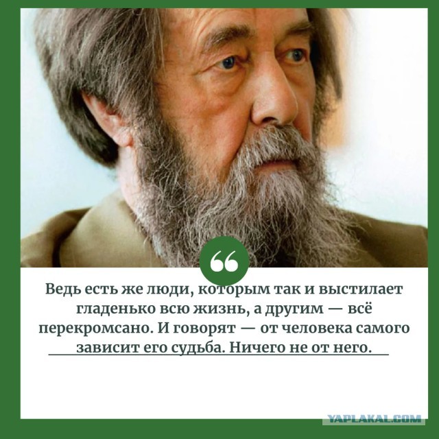 Артемий Лебедев – о бесплодности эмиграции.