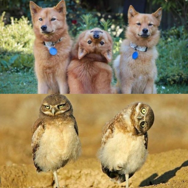 Картинки на пятницу