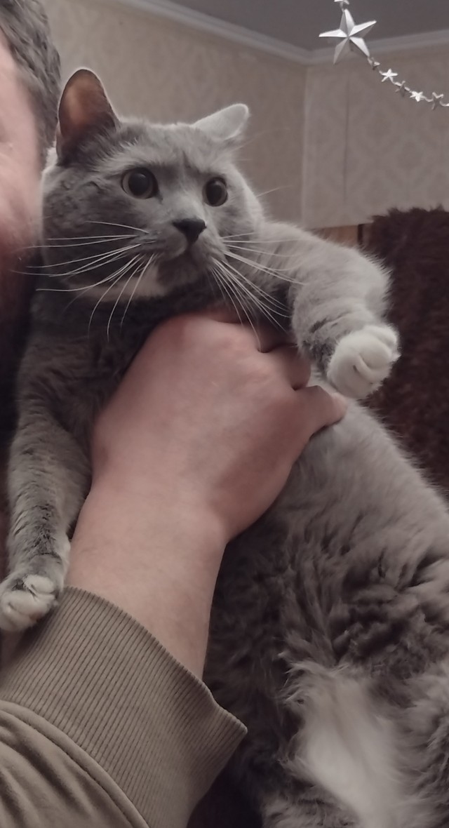 Совпало же? В котовторник