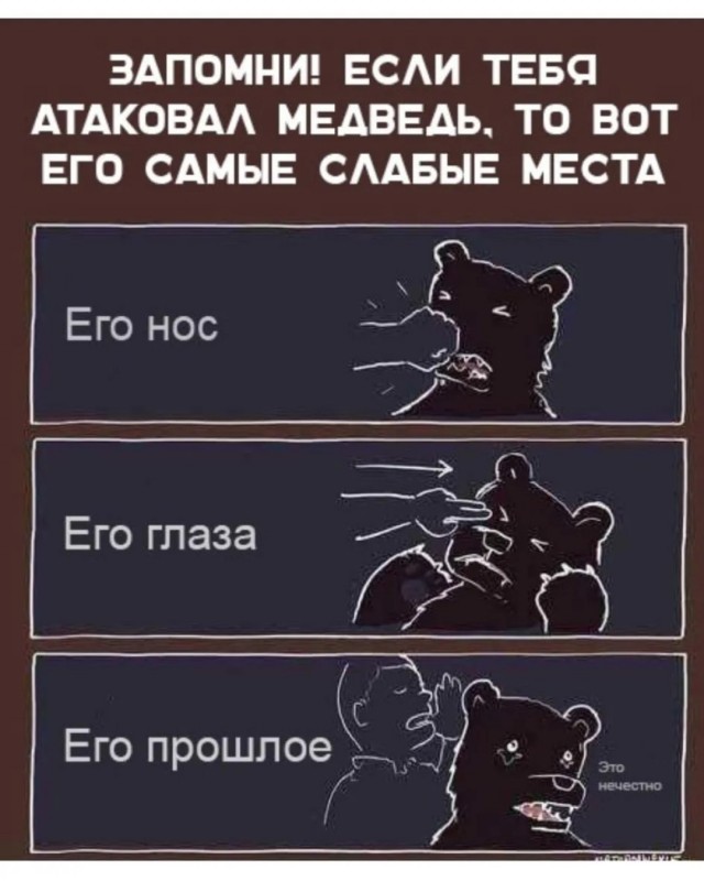 Как не огрести от медведя: 5 основных правил