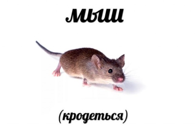 Путь к цели: медленный, но верный