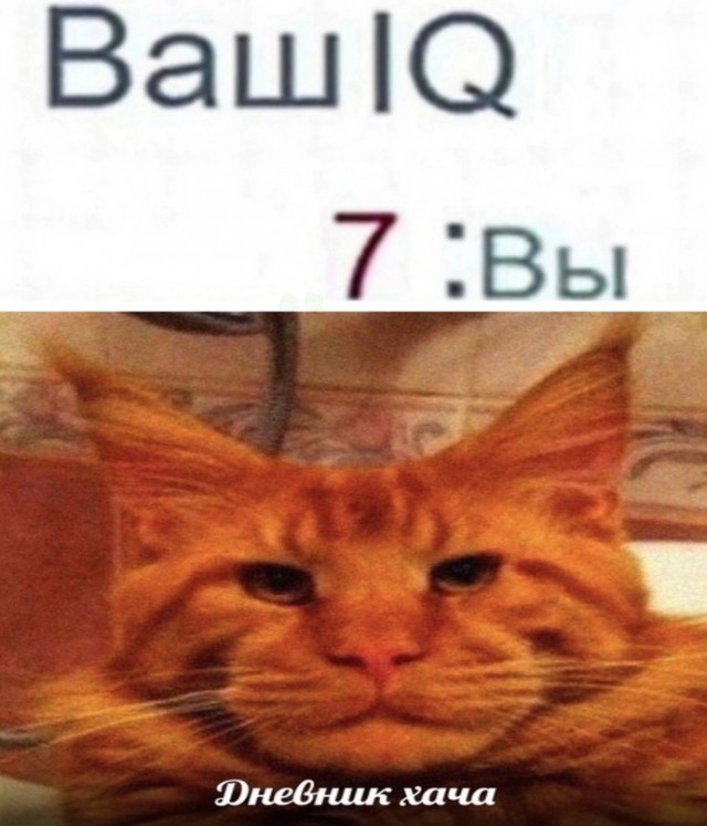 Картинки и мемы для настроения - 181