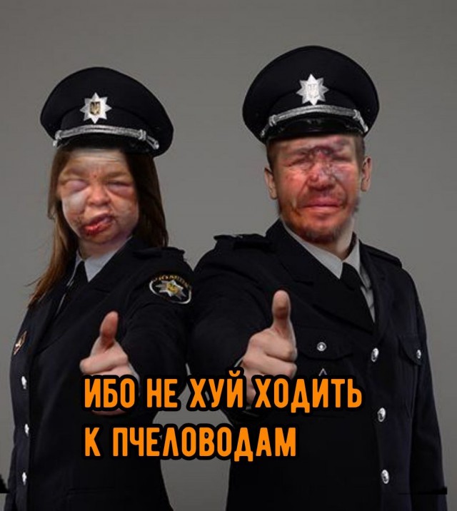 В Одесской области мужик во время контр-диверсионных мероприятий запустил в полицейского улей с пчёлами