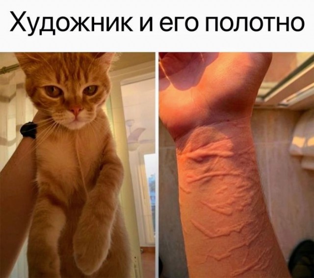 Картинки и мемы, всяко разно - 183