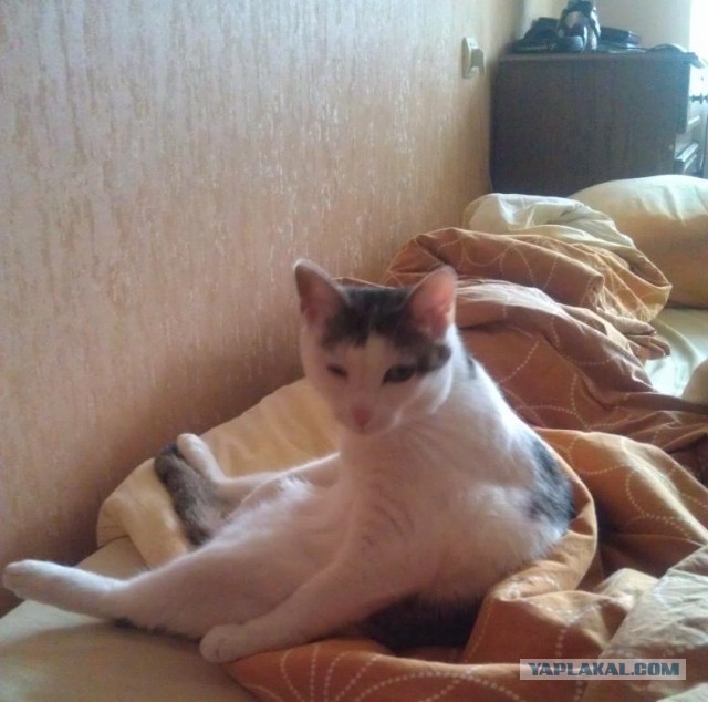 Ну блин, и так сёдня весь сонный хожу..