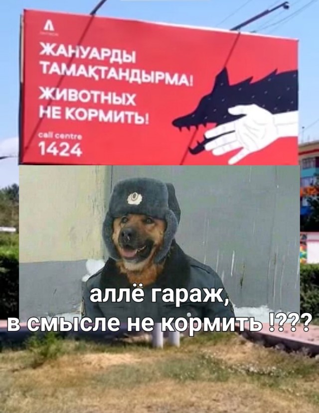 "Не кормите животных" билборд. Кто угадает смысл?
