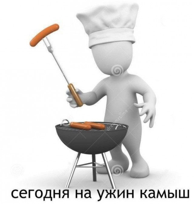 Всего понемногу. От 03.08.23