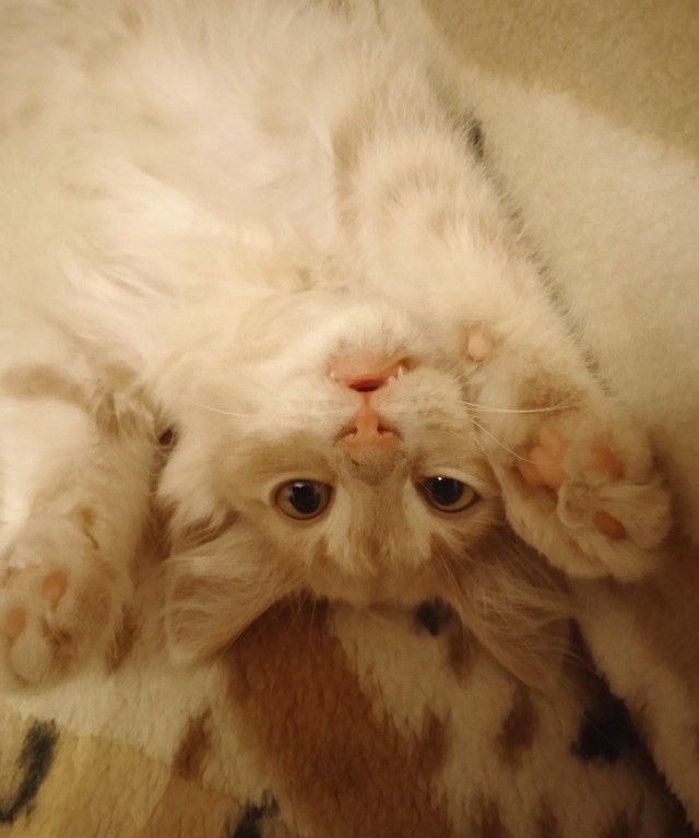 Коробка в чистом поле