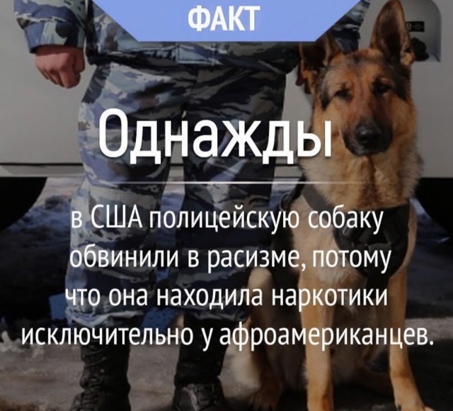 В странах ЕС по отношению к чернокожим растут расизм и неприязнь