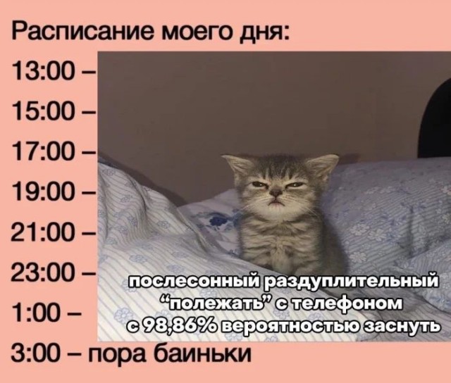 Приколы с налетом деградации