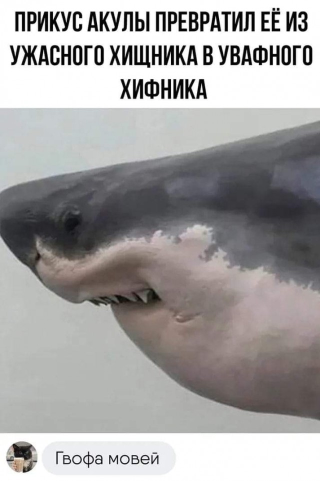 Маленькая пятница