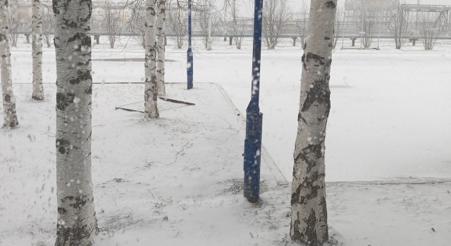 С новым годом