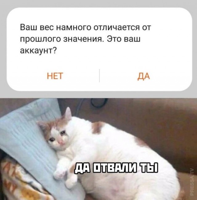 Веселые картинки к маленькой пятнице (31.06)
