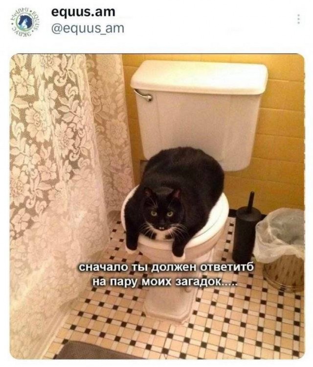 Картинки разные с надписями и без