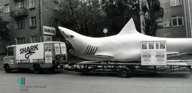 Интересные фотографии 1990-х 29.10.24