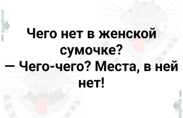 Так себе картинки 16.01.25