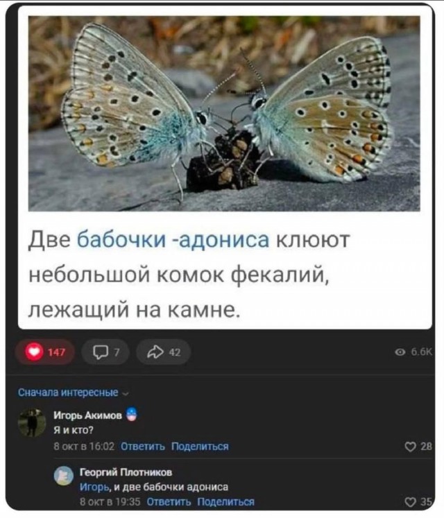 Маленькая пятница 19.03.25