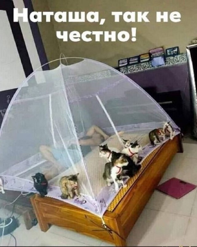 Так себе картинки 20.03.25