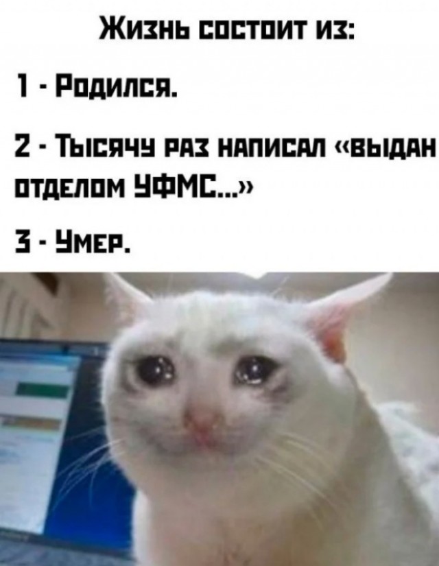 Занятные картинки с надписями и шашлыки на майские