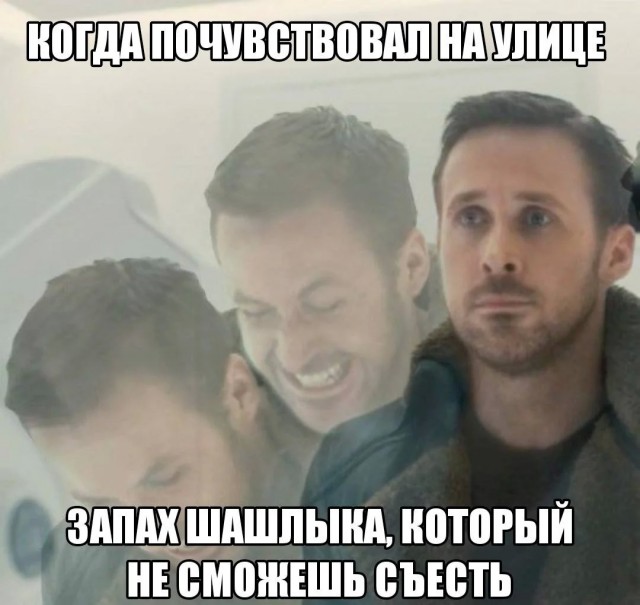 Смешные картинки с надписями и чужой кот
