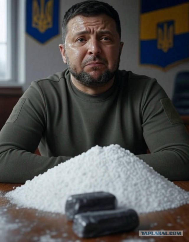 Рада приняла в первом чтении законопроект 13229 о возможности добровольной мобилизации мужчин старше 60 лет.