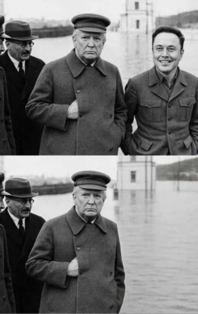 Трамп и Маск ссорятся в "прямом эфире" в Твиттере