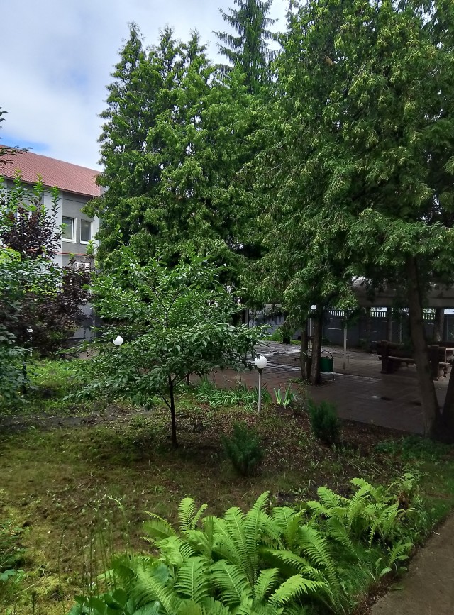 Вот оно какое наше лето....