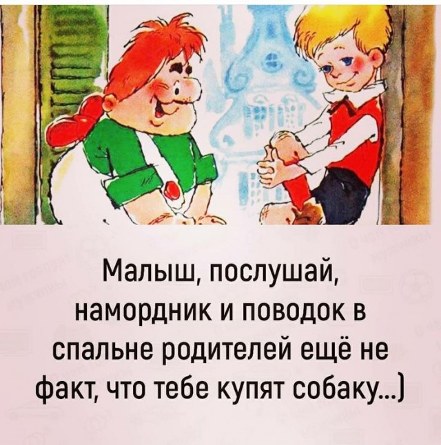 Любопытство