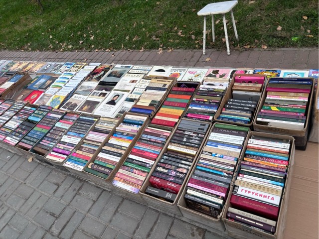 А книга в какую цену?
