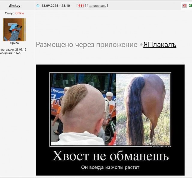 Зачем запорожские казаки носили чуб на бритой голове? Почему над этой прической так смеялись русские?