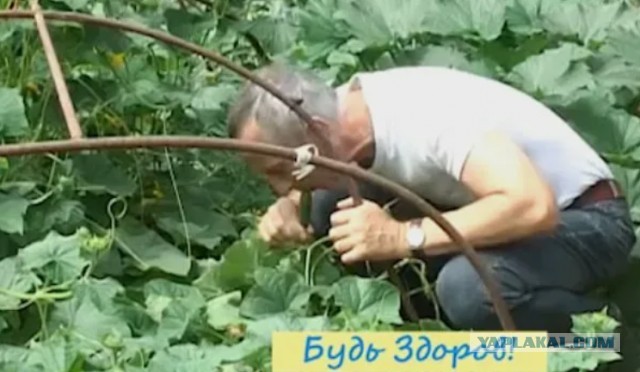 Чубайс суккуб или инкуб?