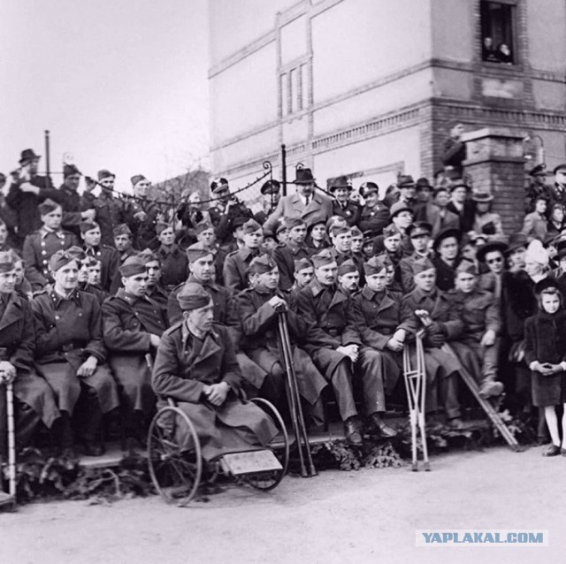 Добро пожаловать, или ну его нах...