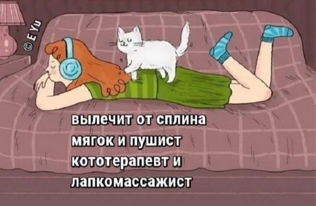 Прикольные и просто красивые картинки 25.11.2025