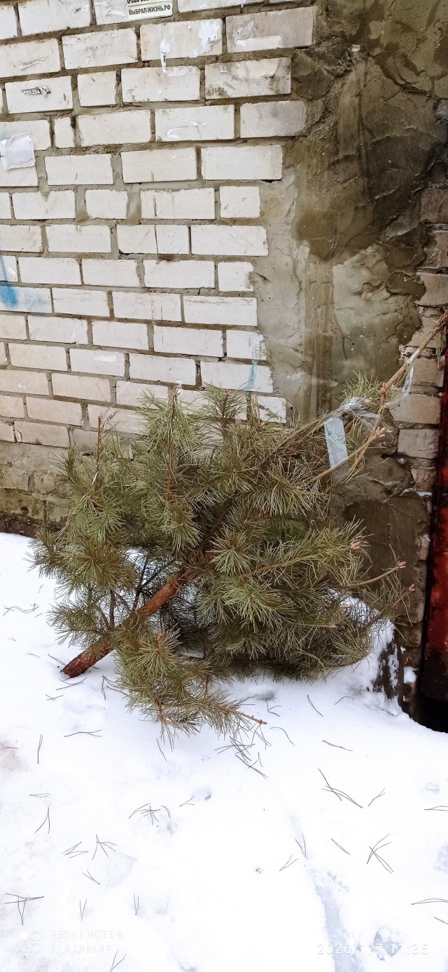 Слабак)))