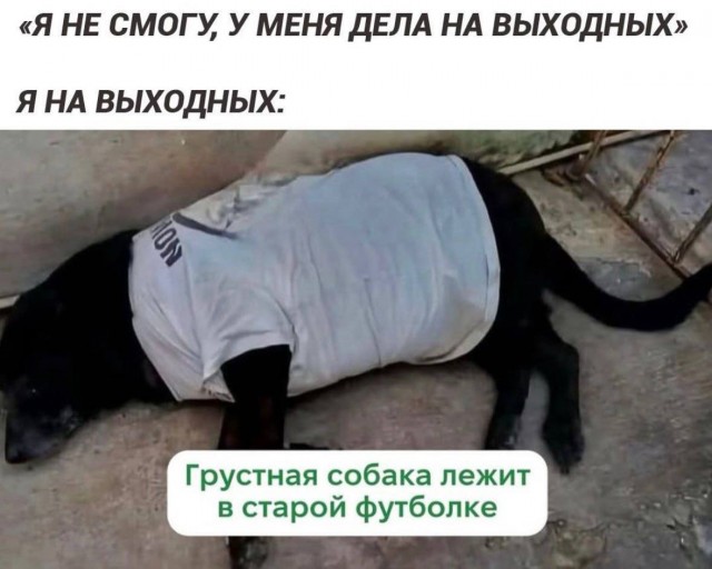 Вторника картинки