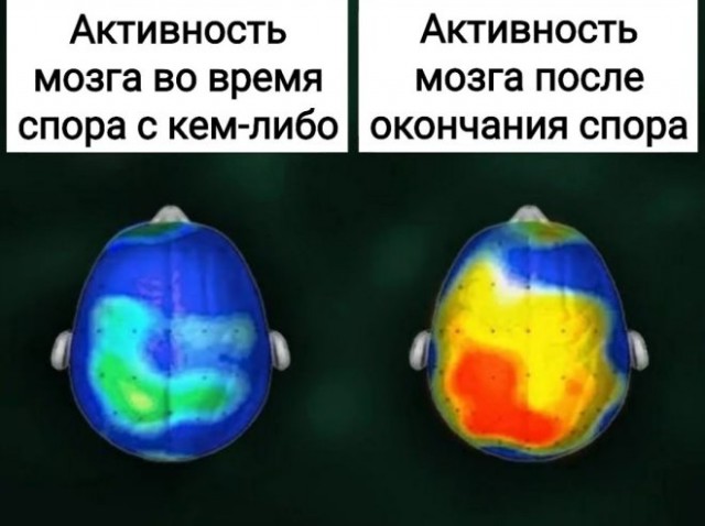 Веселые картинки в маленькую пятницу (11.03)