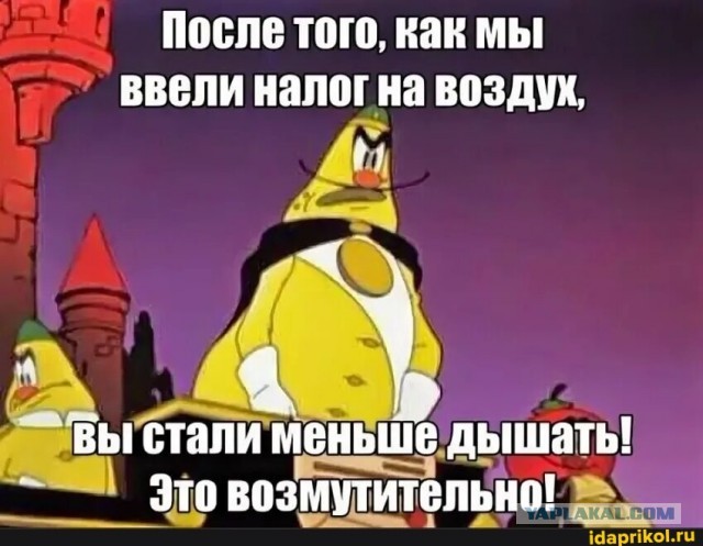Налог на выезд за границу поддержали в Госдуме