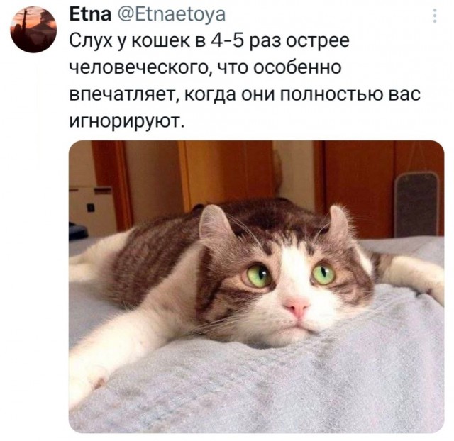 Среды картинки
