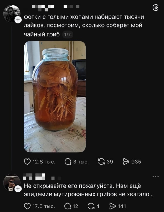 Воскресные картинки