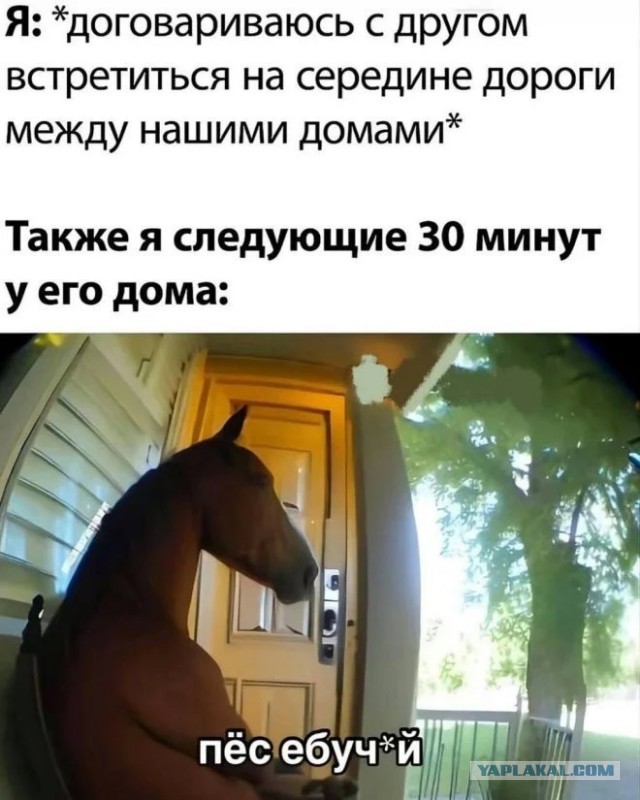 Наболело