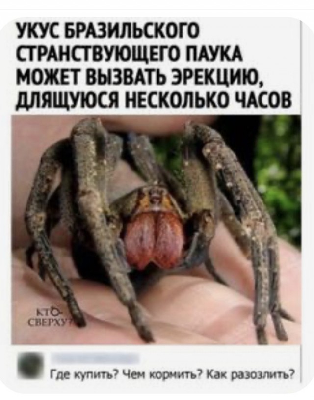 Гоша