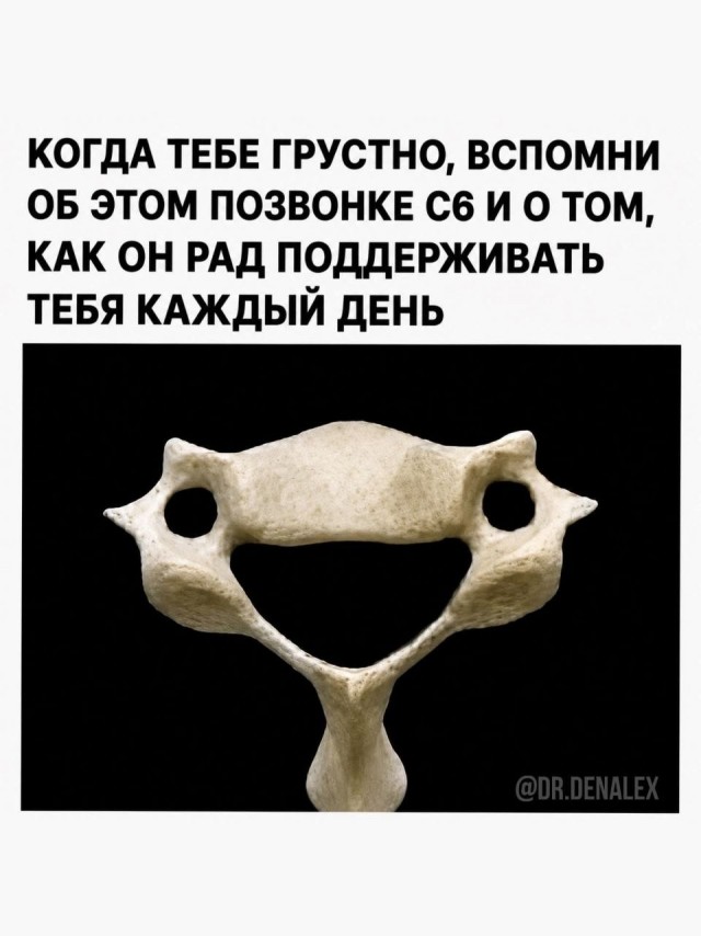 Картиночки, баянчики 15 июня