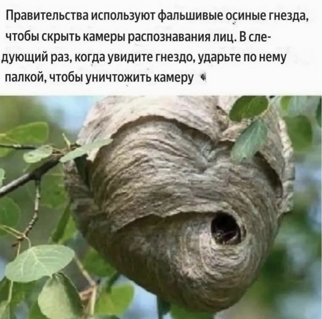 Картинки для деградации 265 (разной степени свежести)