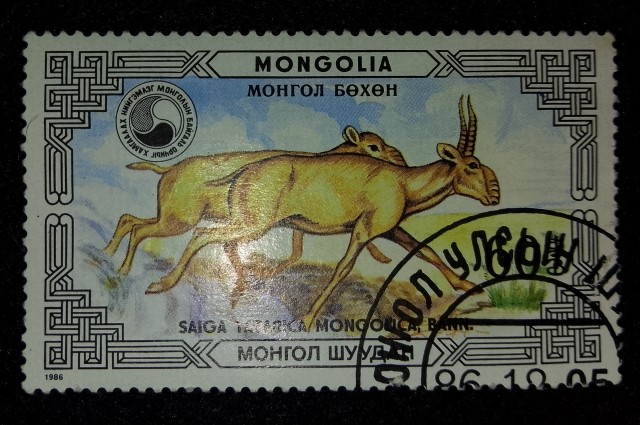 О Монголии пару слов