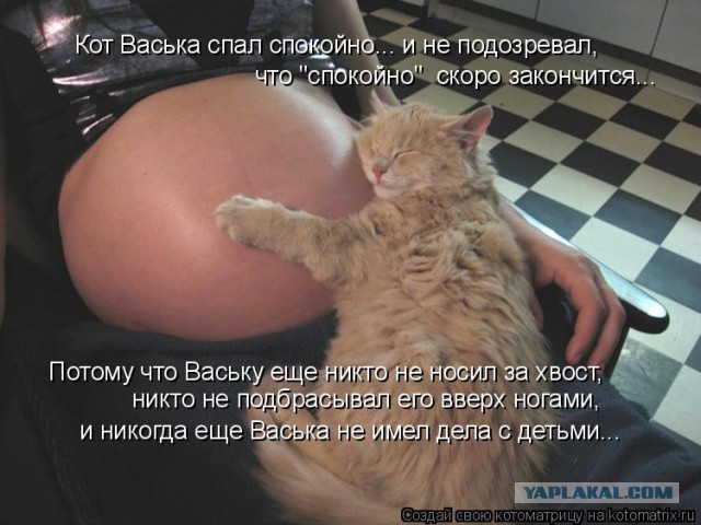 Сюрприз в телефоне.