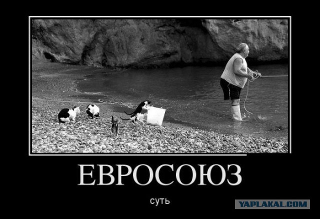 С миру по нитке. Демотиваторов чуть
