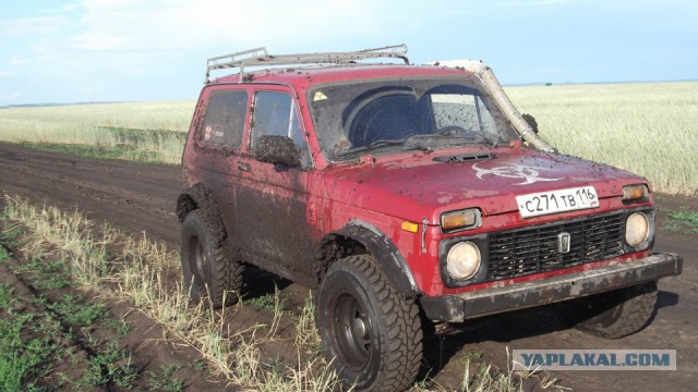 Димон, Володя и Нива