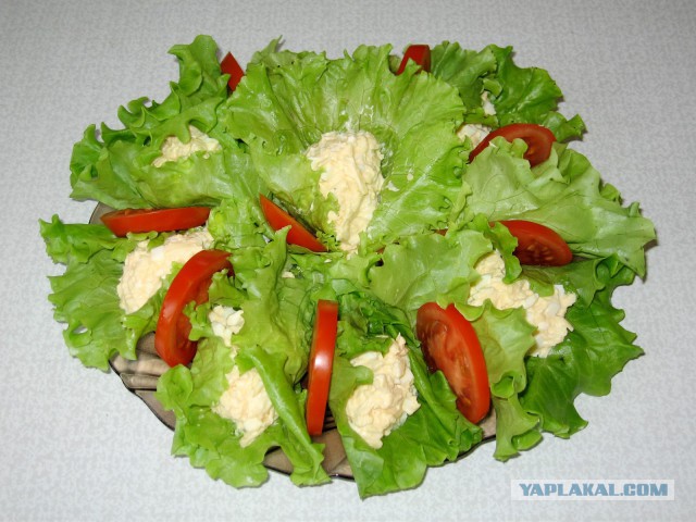 Пост ради Юки.